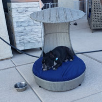 Clara outdoor hooded outlet dog bed